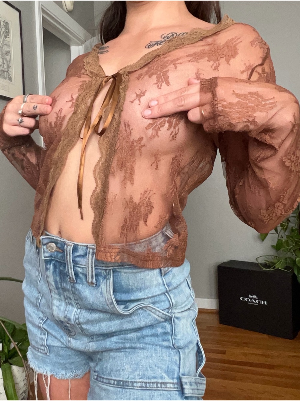 Sheer Brown Lace Tie-Front Cardigan